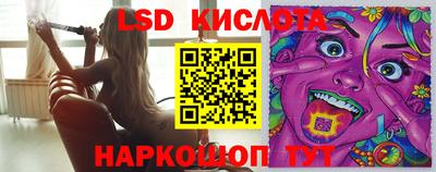 крисы Краснодар