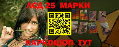 крисы Краснодар