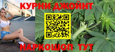крисы Краснодар