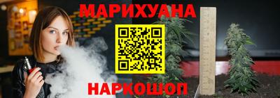 крисы Краснознаменск