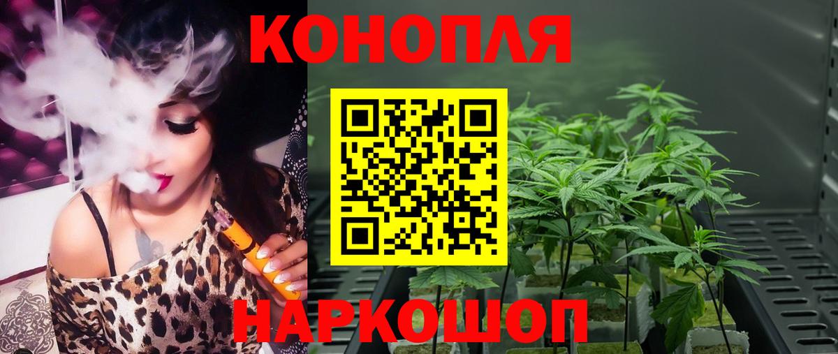 Канабис конопля Зеленодольск